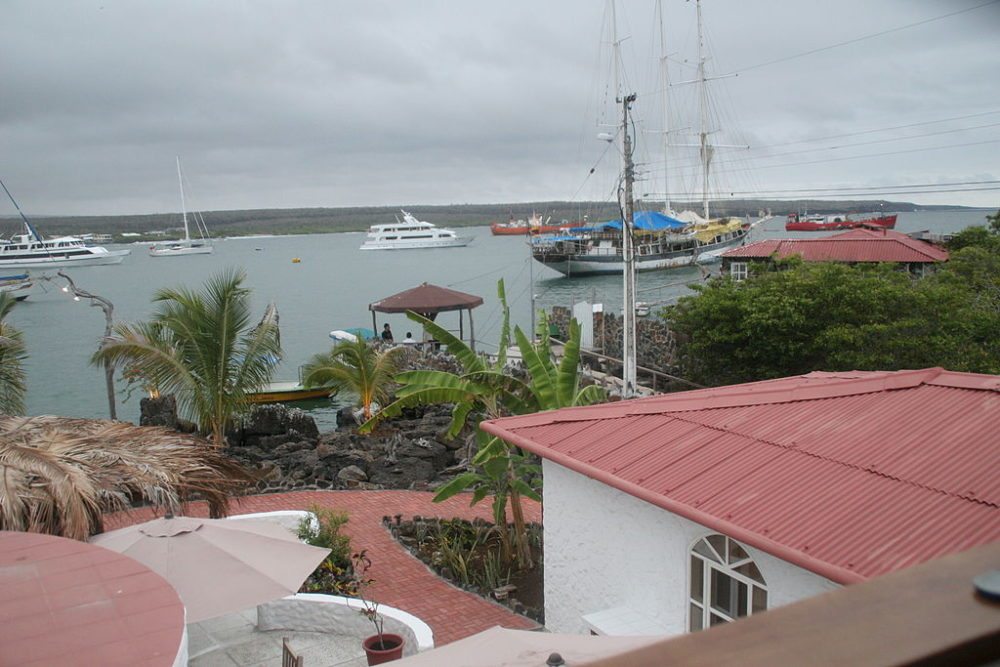 Puerto Ayora. (Urheber: Michael R Perry / Wiki)