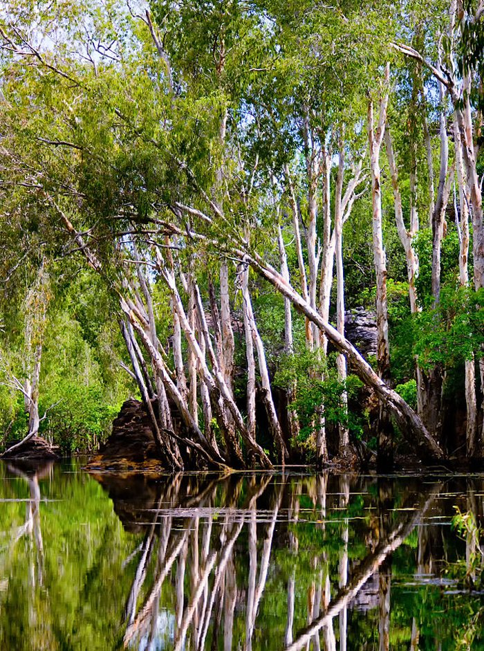 East Alligator River, Kakadu-Nationalpark, Australien (Bild: Djambalawa, Wikimedia, CC)