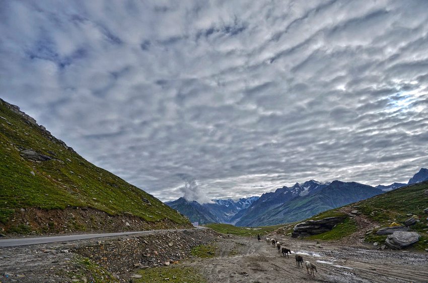 Blick vom Rohtang Pass bei Kullu (Bild: TheWanderer7562, Wikimedia, CC)