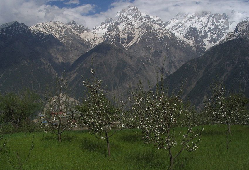 Kalpa in Himachal Pradesh (Bild: Gili Chupak, Wikimedia, CC)