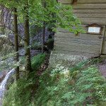 Sonst hat sich ja niemand getraut. (© Alin Cucu)